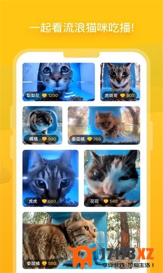 街猫app下载安装_哈啰街猫官方版下载v1.22.8安卓版