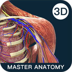 解剖大师最新版