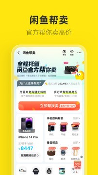 闲鱼2024最新版本