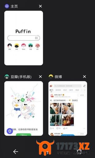 puffin浏览器官网版下载_puffin浏览器(支持flash)最新版下载